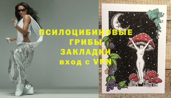 дурь Нязепетровск
